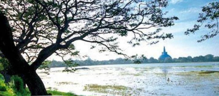 Lucky Holiday Home Anuradhapura Dış mekan fotoğraf