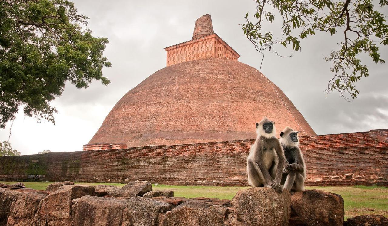 Lucky Holiday Home Anuradhapura Dış mekan fotoğraf